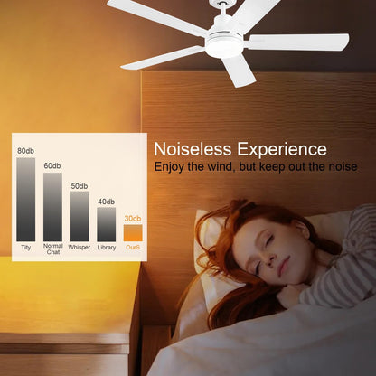 Ceiling Fan JL-53