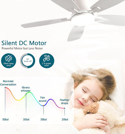 Ceiling Fan 38-52