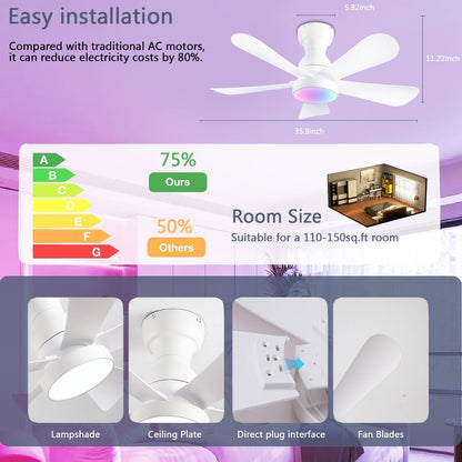 Ceiling Fan SY73