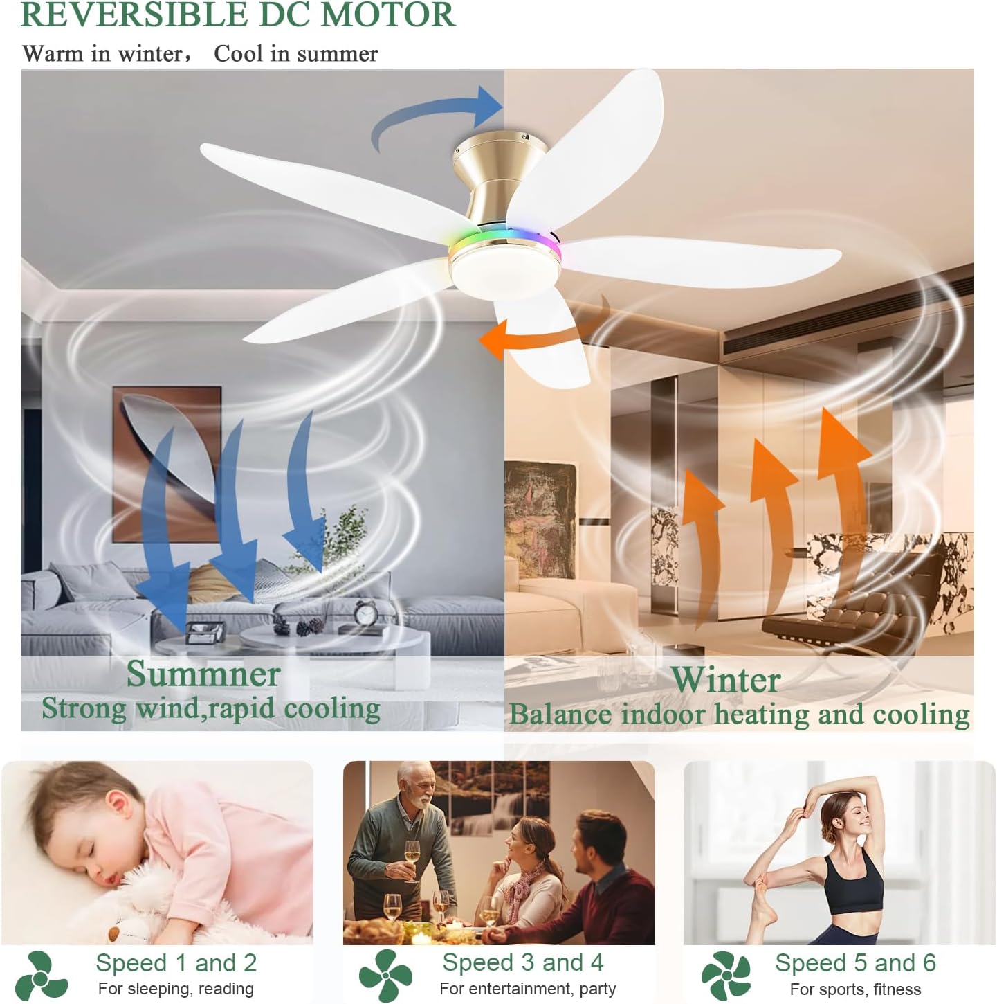 Ceiling Fan JL-61