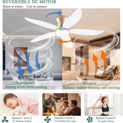 Ceiling Fan JL-61