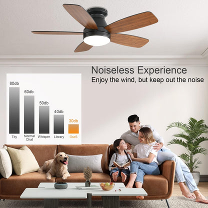 Ceiling Fan JL68