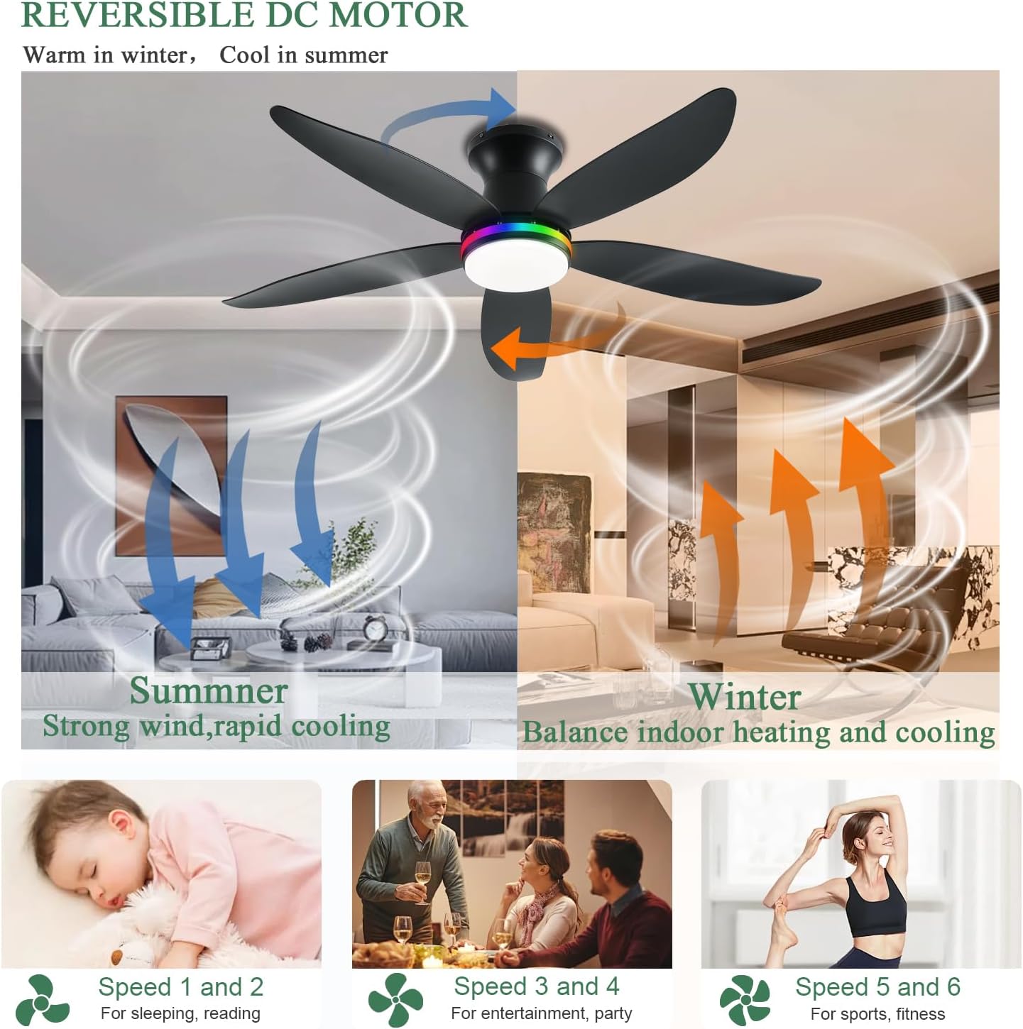 Ceiling Fan JL-61