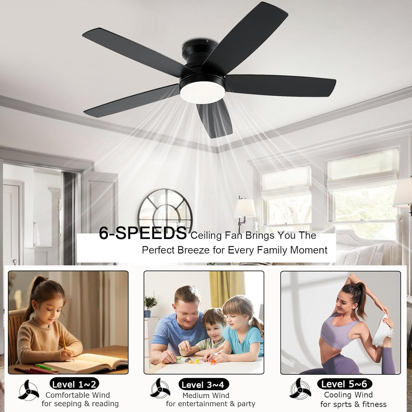 Ceiling Fan SY69