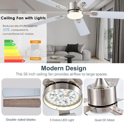 Ceiling Fan SY39
