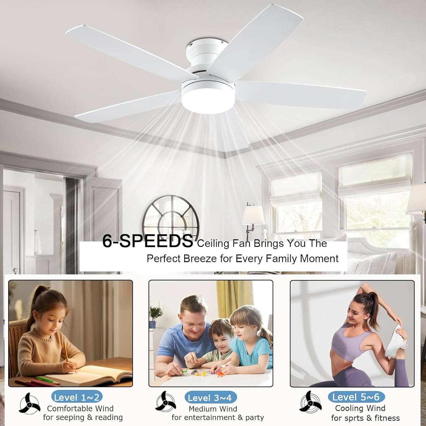 Ceiling Fan SY69