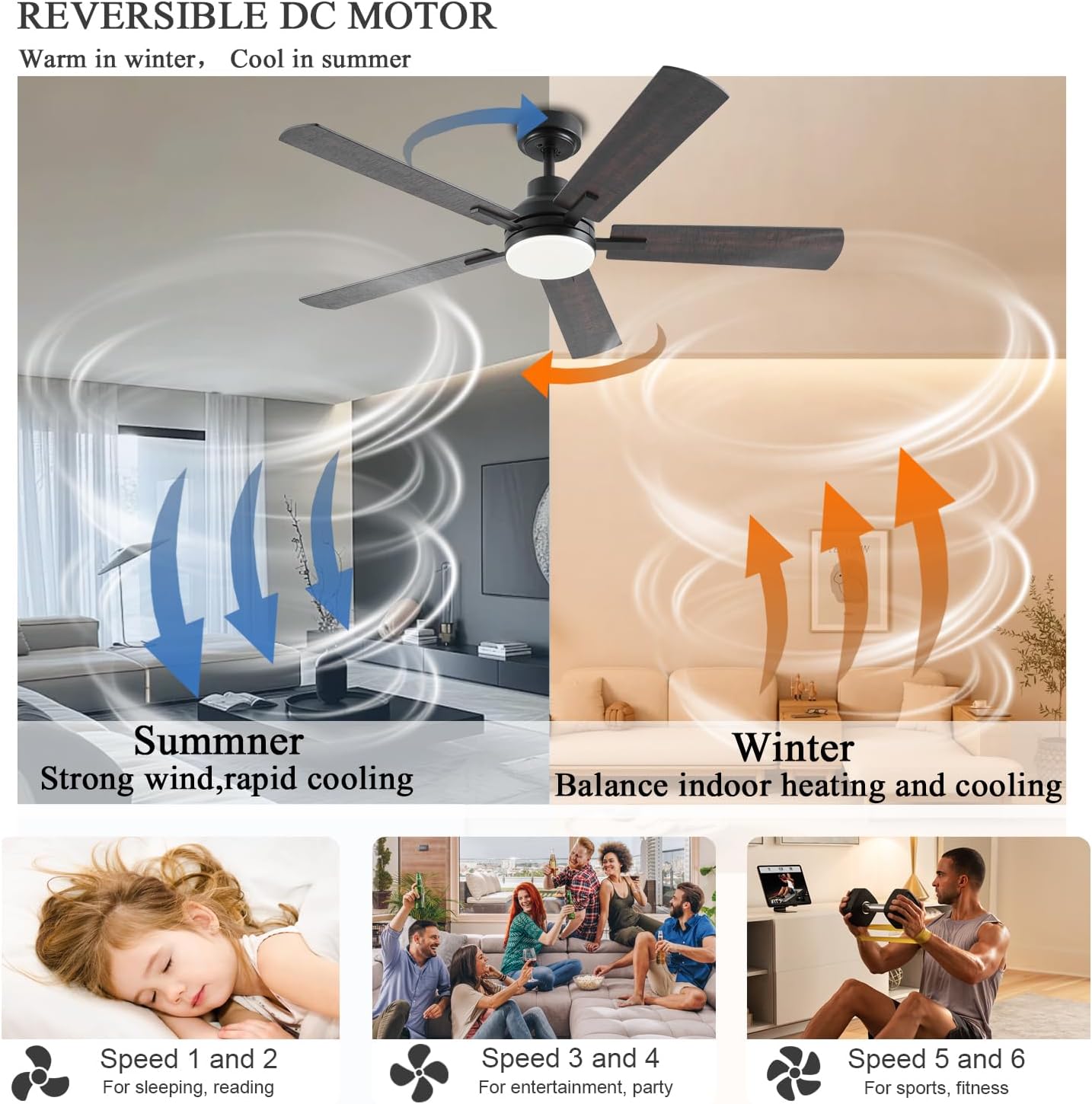 Ceiling Fan JL-53