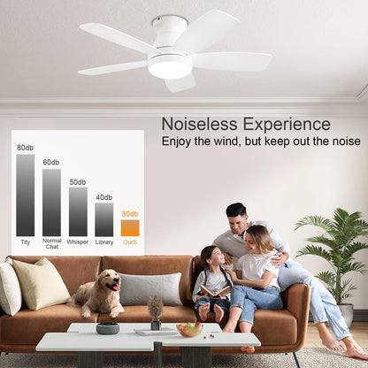 Ceiling Fan JL68