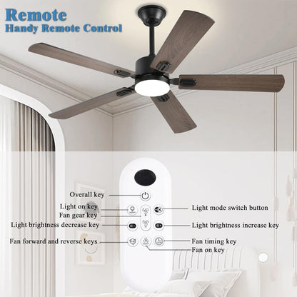 Ceiling Fan SY39