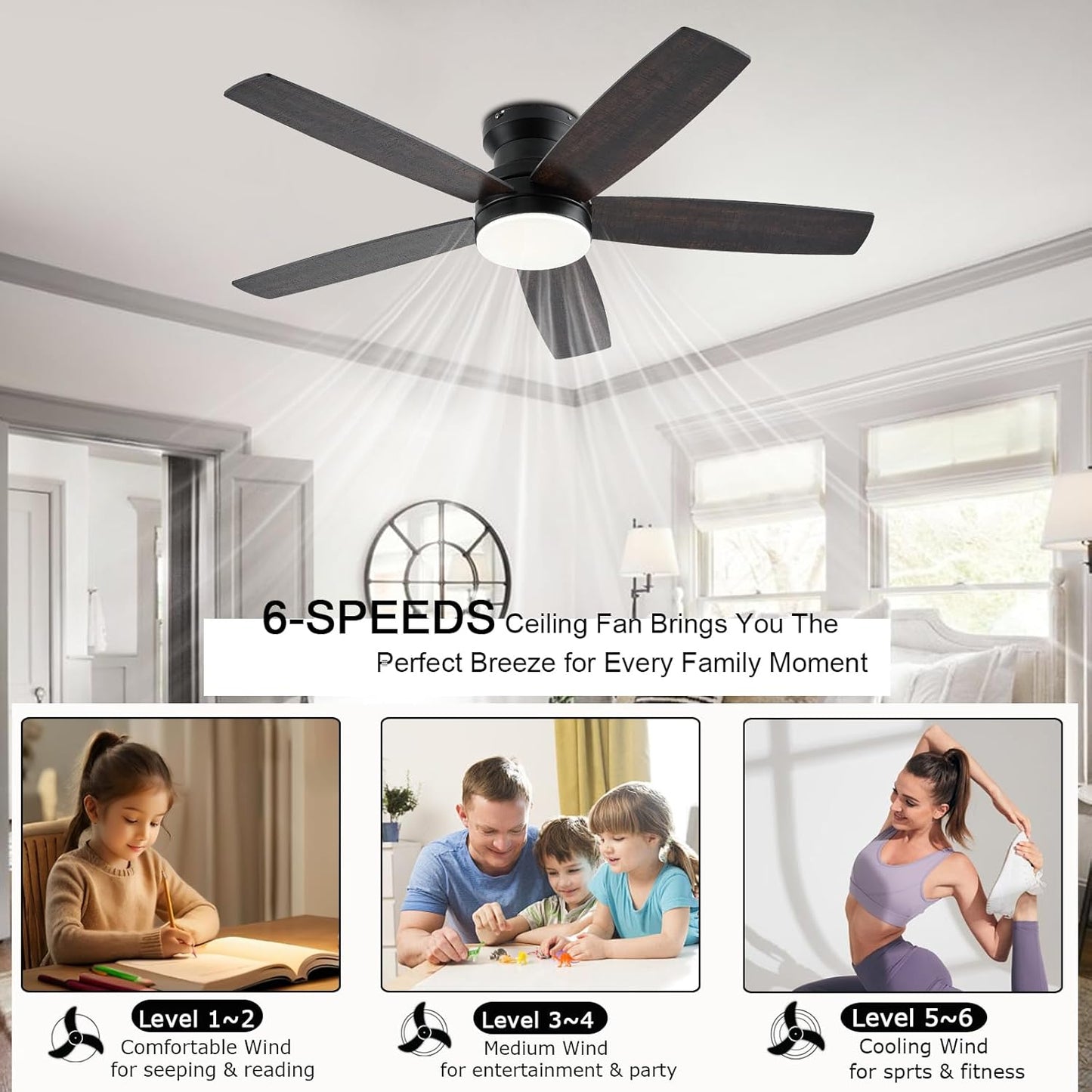 Ceiling Fan SY69