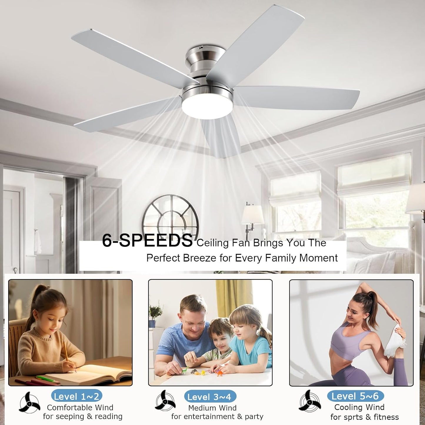 Ceiling Fan SY69