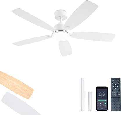 Ceiling Fan SY54