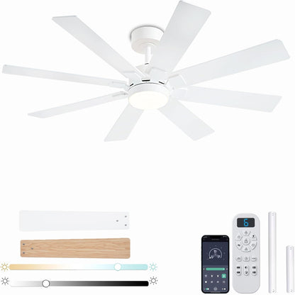Ceiling Fan SY63