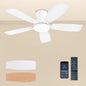Ceiling Fan JL-66