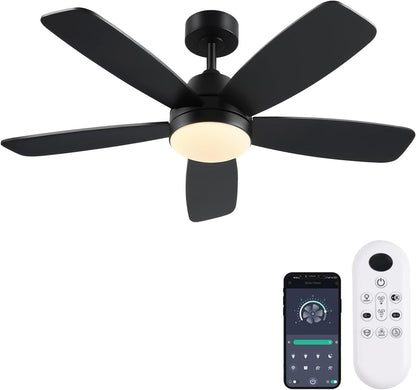 Ceiling Fans with Lights, Low Profile Indoor/Outdoor Use 42 Inch