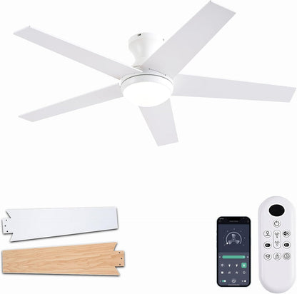 Ceiling Fan 78-48