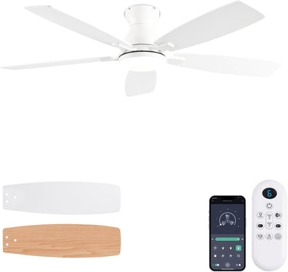 Ceiling Fan JL-66