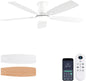 Ceiling Fan JL-66