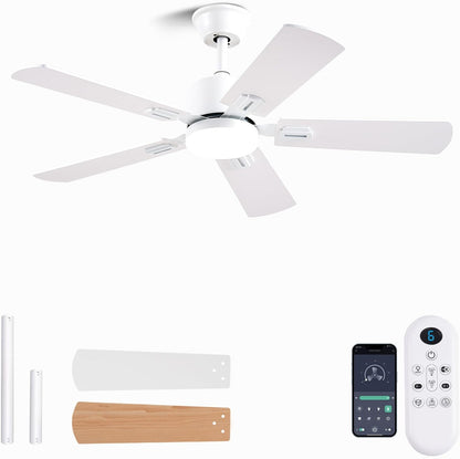 Ceiling Fan SY39