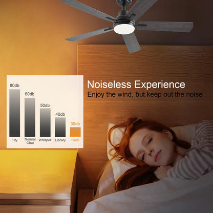 Ceiling Fan JL-53
