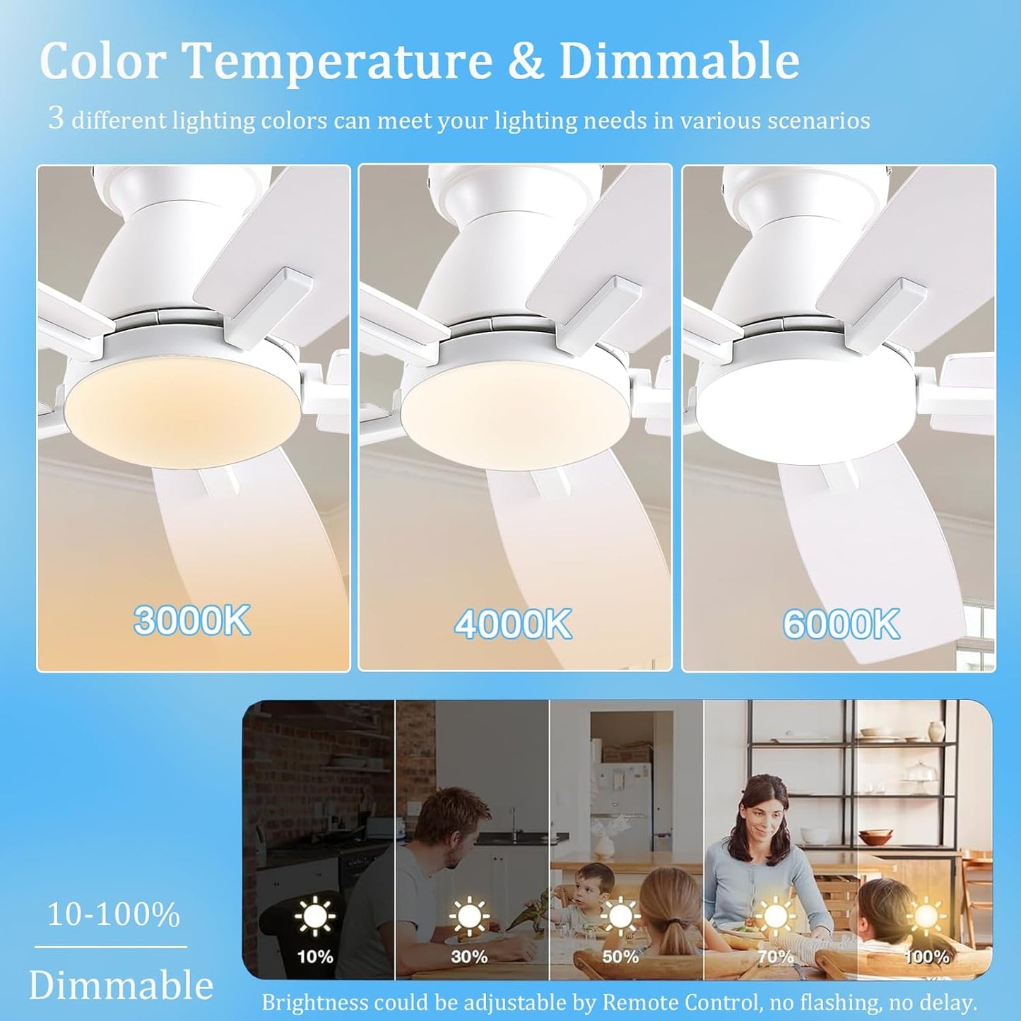 Ceiling Fan SY75