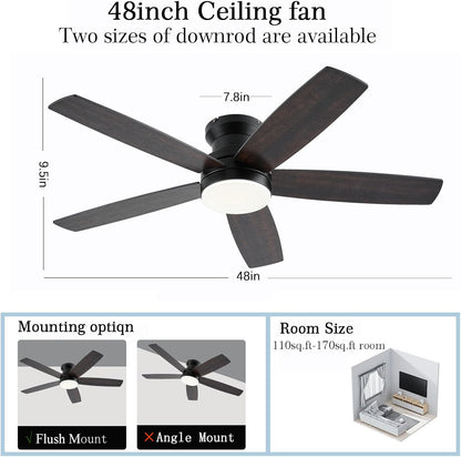 Ceiling Fan SY69