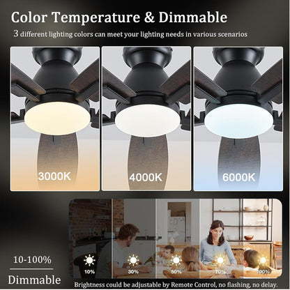 Ceiling Fan SY75