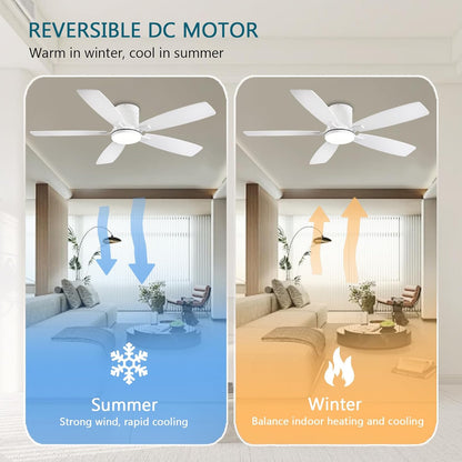Ceiling Fan 38-52