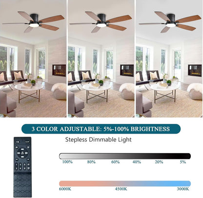 Ceiling Fan 38-52