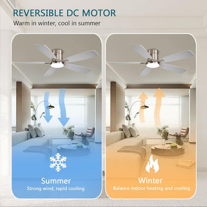 Ceiling Fan 38-52