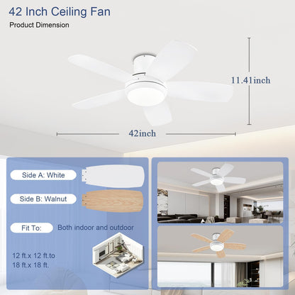Ceiling Fan SY56
