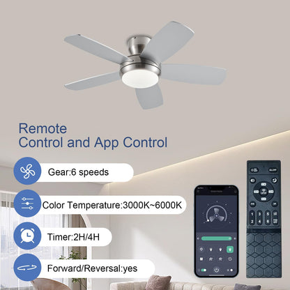 Ceiling Fan SY56