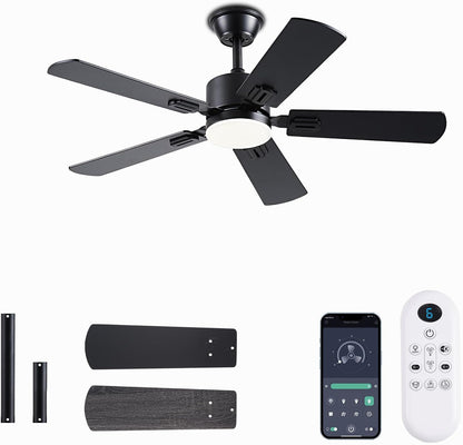 Ceiling Fan SY39
