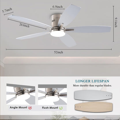 Ceiling Fan SY-81