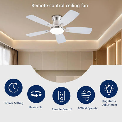 Ceiling Fan JL-66