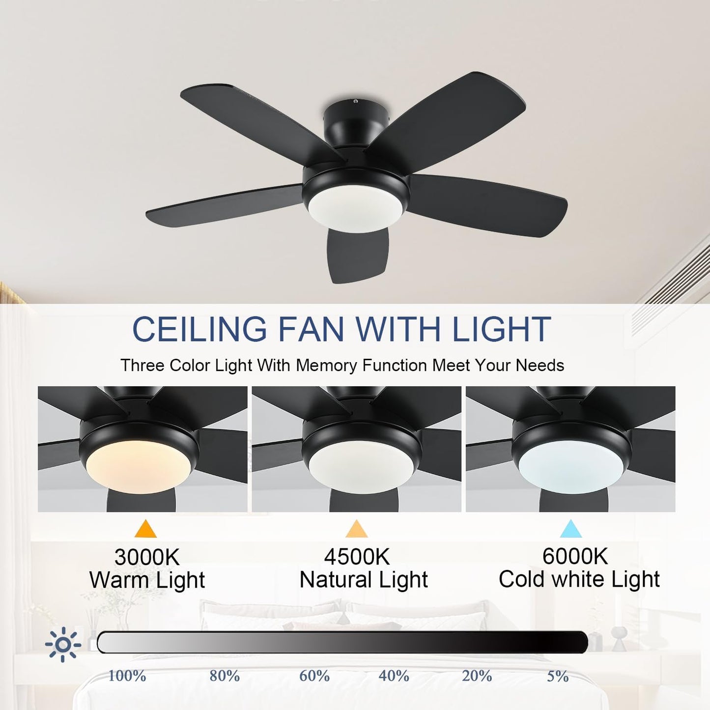 Ceiling Fan SY56