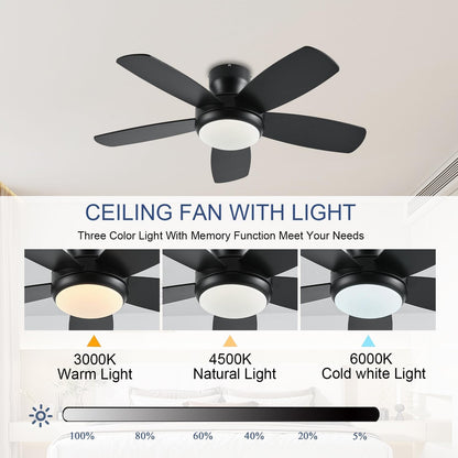 Ceiling Fan SY56