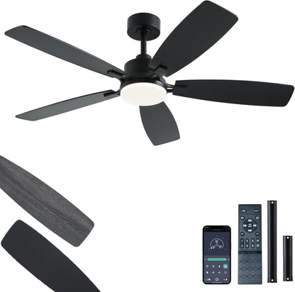 Ceiling Fan SY54