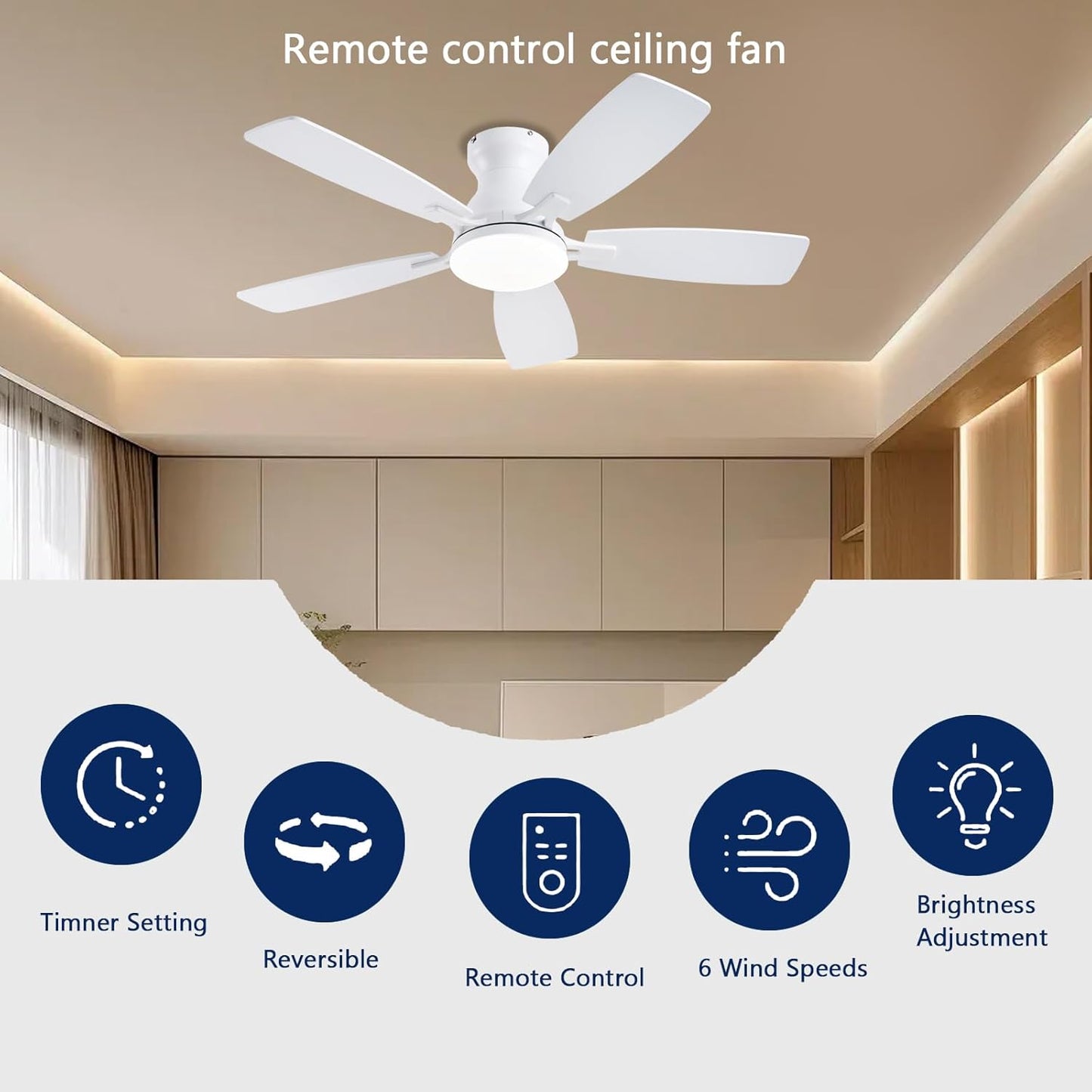 Ceiling Fan JL-66