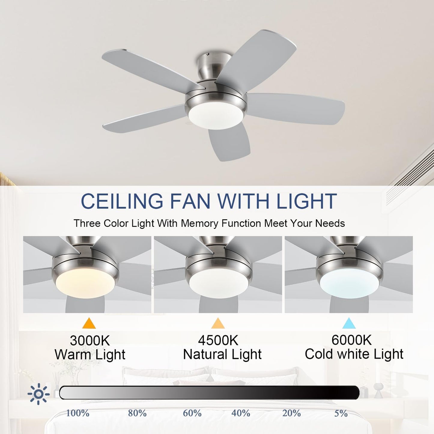 Ceiling Fan SY56