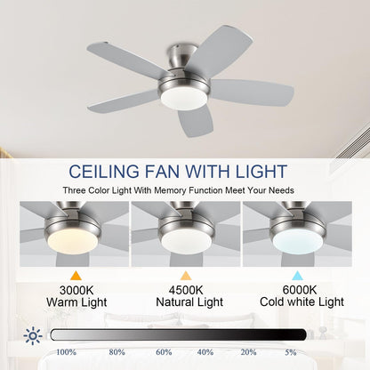 Ceiling Fan SY56