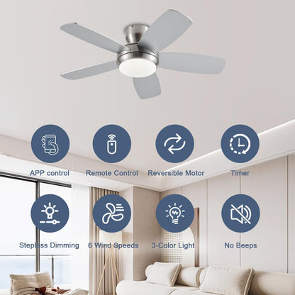 Ceiling Fan SY56