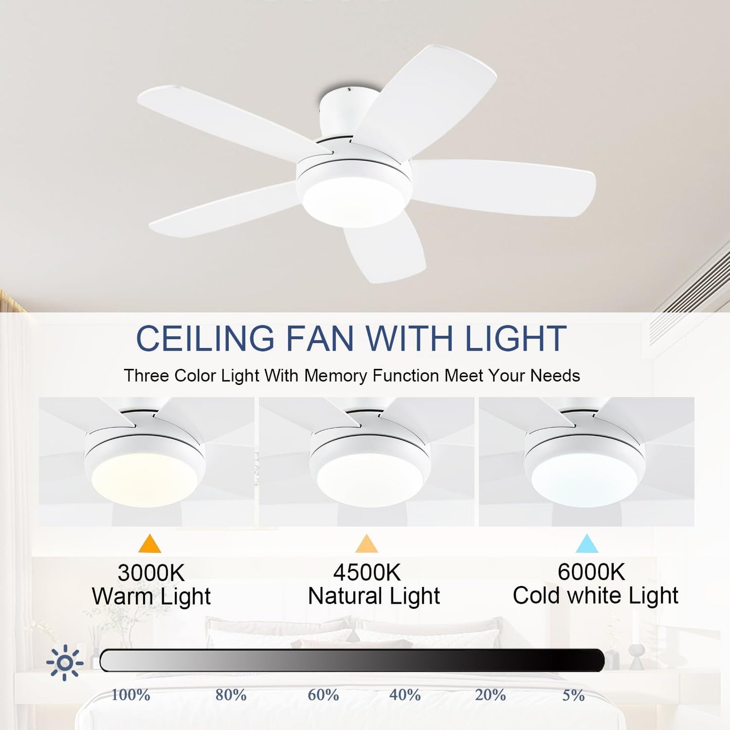 Ceiling Fan SY56