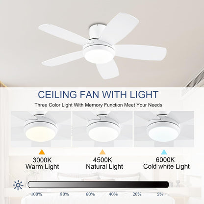Ceiling Fan SY56