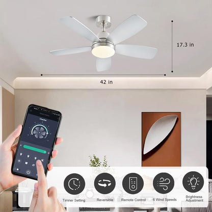 Ceiling Fans with Lights, Low Profile Indoor/Outdoor Use 42 Inch