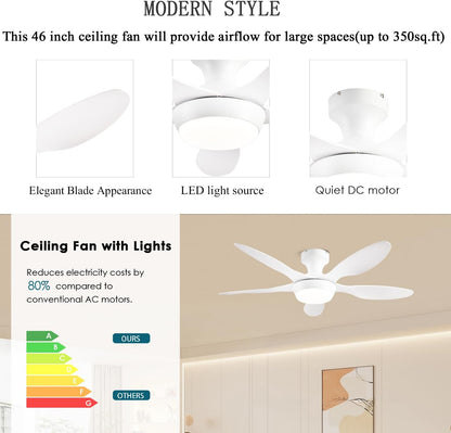 Ceiling Fan Gg-72