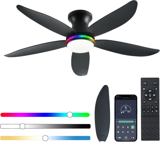 Ceiling Fan JL-61