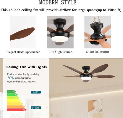 Ceiling Fan Gg-72