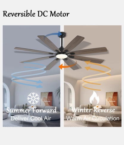 Ceiling Fan JL-89