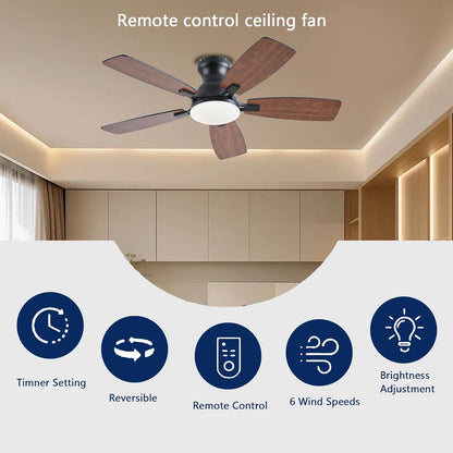 Ceiling Fan JL-66